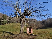 MONTE ZUCCO (1232 m) ad anello da S. Antonio Abb. (987 m)via Sonzogno (1108 m) - 4marzo 2023 - FOTOGALLERY